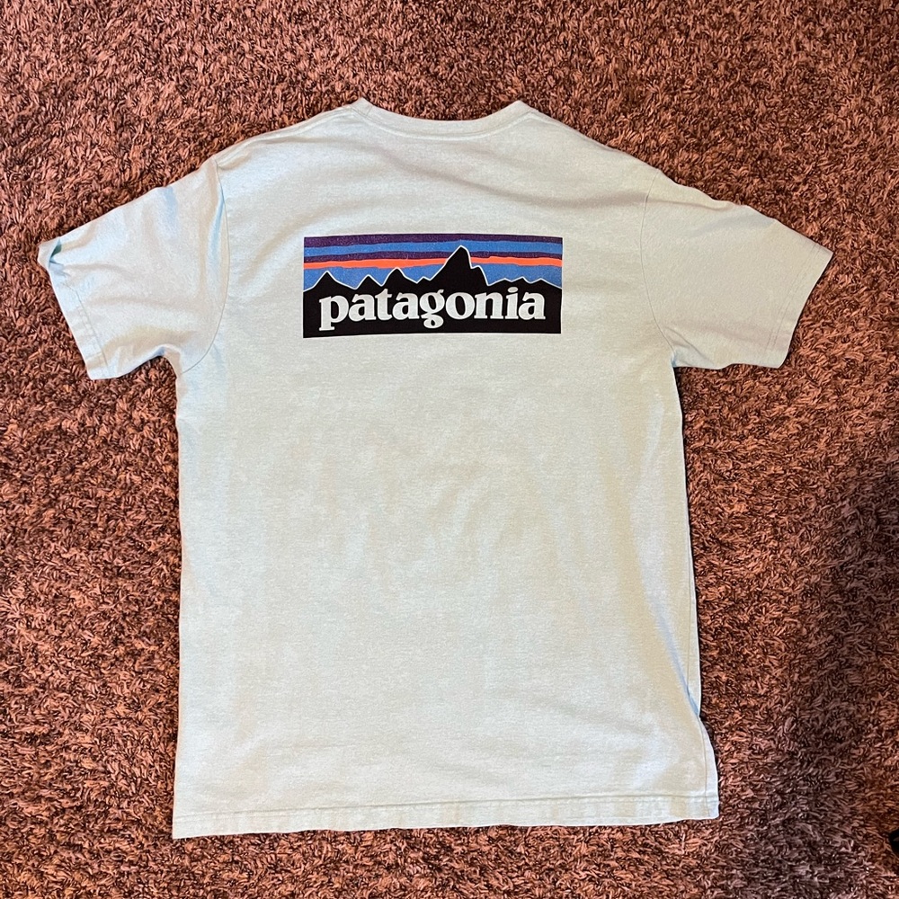 Patagonia tee